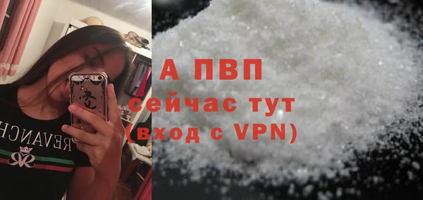 крисы Надым