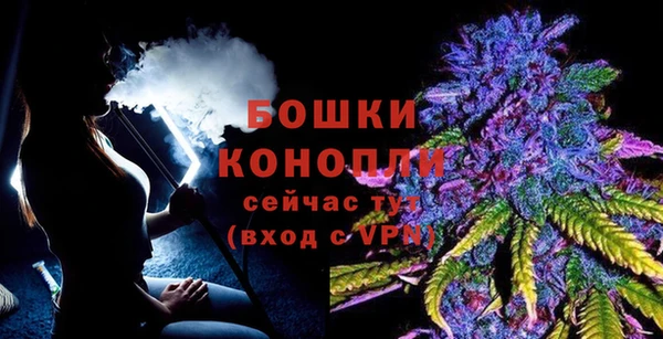 стаф Алагир