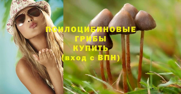 бутират Михайловка