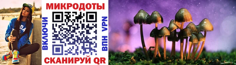 Псилоцибиновые грибы Psilocybe  купить наркотик  Покровск 